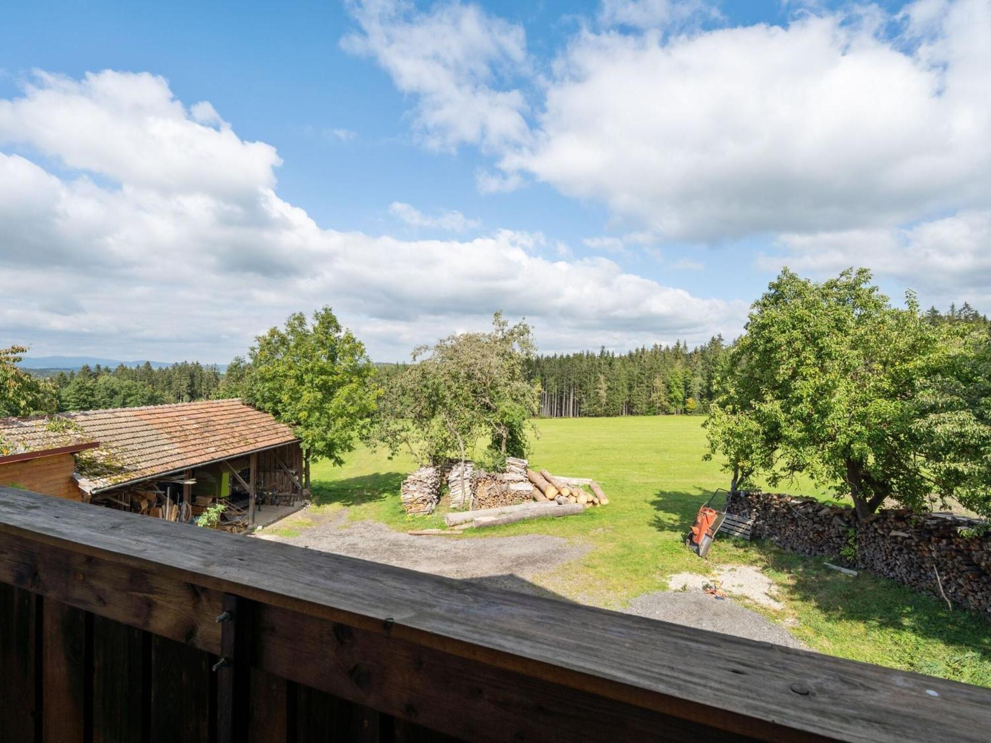 Apartment On A Farm Near The Ski Area Neukirchen beim Heiligen Blut Esterno foto